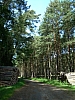 DSCN5873r.jpg DSCN5873r.jpg
